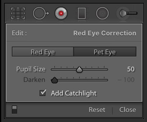 How to Remove Red Eye in Lightroom