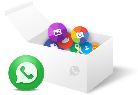 Supported WhatsApp File Types