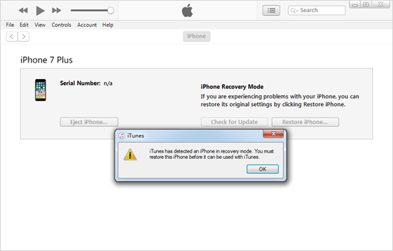 How to Put iPhone into DFU Mode?