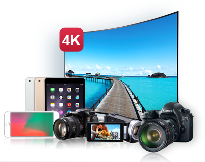 Support All SD, HD, 4K Video Formats